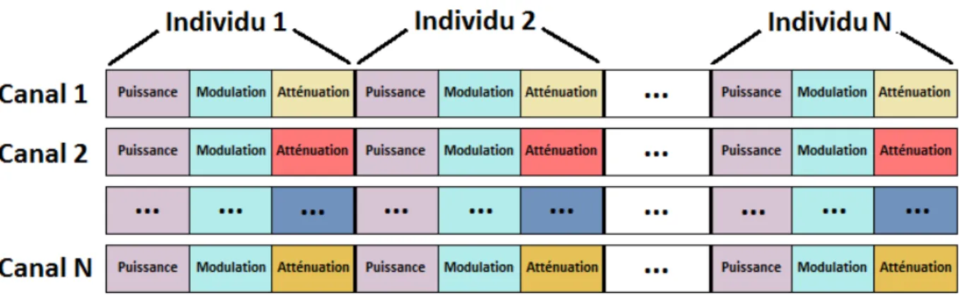 Figure  III.1: Liste des individus 