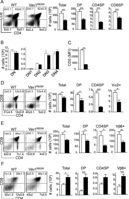 Fig 1. Impact of the Vav1 R63W mutation on T cell development. (A) Representative dot plots of CD4 and CD8 expression on thymocytes from WT (n = 16) and Vav1 R63W (n = 13) mice