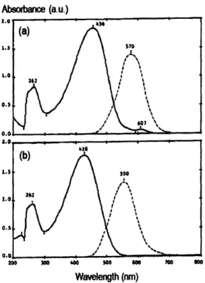 Figure  2-5.  UV-VIS  (solid  line)  and  fluorescence  (dashed  line)  spectra  of  (a) regioregular  P3HT with  HT coupling &gt;98.5%  and (b) regiorandom  P3HT with 50/50 HT/HH  couplings  in  chloroform  solution