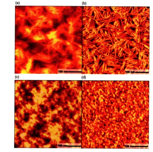 Figure  2-7.  Tapping  mode  atomic  force  microscopy  of  regioregular  P3HT  thin films