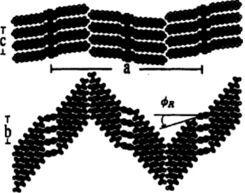 Figure 2-9.  General  structural  arrangement  proposed  for P3AT  based  on a  parallel stacking  of backbones  along the  b-axis