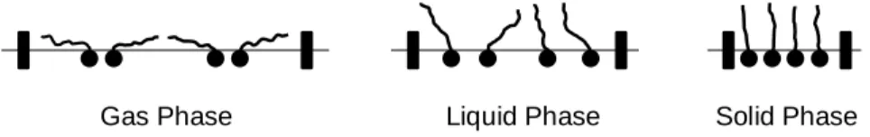 Figure 1.7. Conformation of surfactants in each phase in Langmuir monolayers.