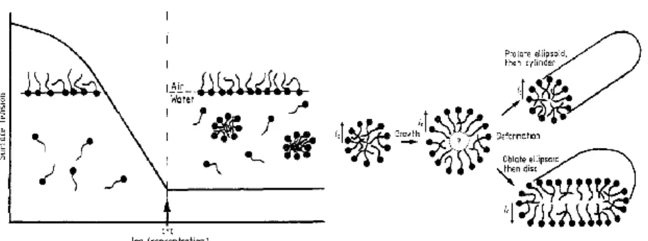 Figure 1.8. Schematic of micellization processes (Reference 35).