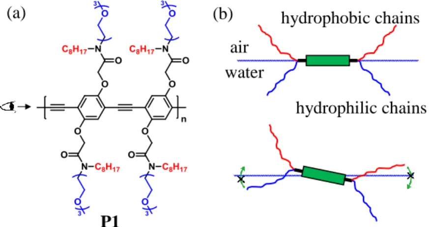 Figure 2.2. (a) The structure of the polymer  P1 (33 kDa, Đ 1.40) with amphiphilic side chains  functionalized in a symmetric fashion