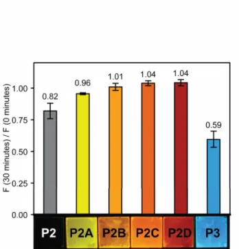 Figure 6.  Photostability of P2 thin-films.  Thin-films of P2, P2A-D, and P3 of the same optical density  (OD = 0.05 ± 0.01) were irradiated for 30 minutes at their absorbance maxima with monochromatic  light and the ratio of fluorescence at 30 minutes to 