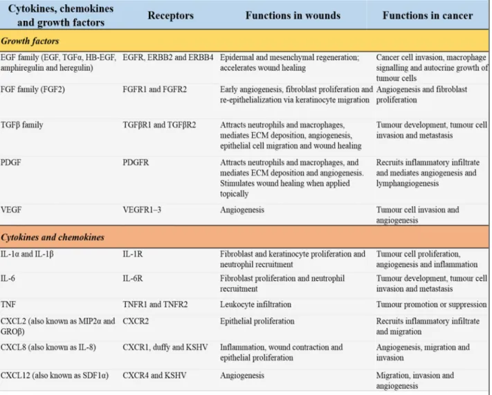 Table 7: Cytokines, chemokines and growth factors that influence wound healing and tumour progression