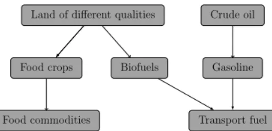 Figure 2. Schematic of the model with food and energy. Notes: Land of different qualities is used to produce either food crops (i.e., rice, wheat, corn, sugar, and “other crops”) or biofuels.