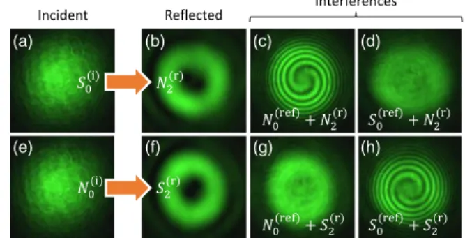 FIG. 6. Analysis of the reflected far field for Ψ ð 0 i Þ ¼ S 0 (top row) and Ψ ð 0 i Þ ¼ N 0 (bottom row)