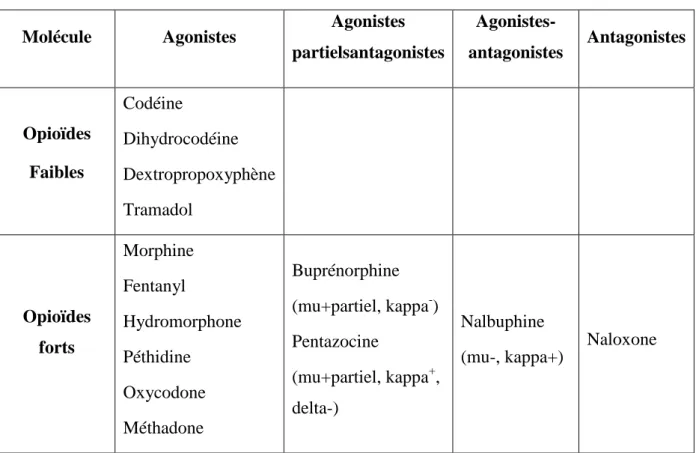 Tableau 1. 7 : Classification des opioïdes d’après Twycross [28]  