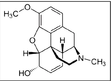 Figure 1. 4 : Structure chimique de la codéine 
