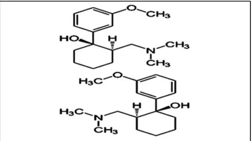 Figure 1. 5 : Structure chimique de tramadol 