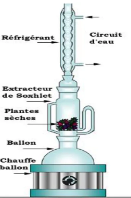 Figure 4.    Montage d’un extracteur de Soxhlet 