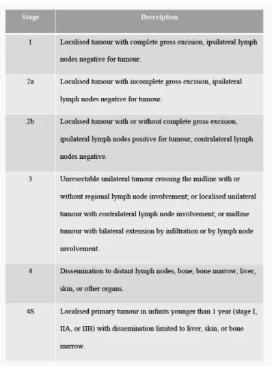 Table   3.   The   INSS   staging   system          