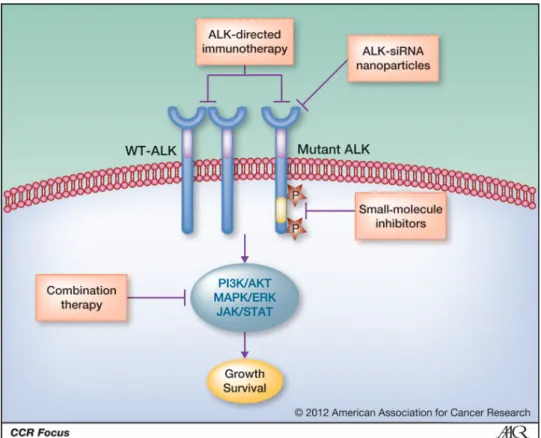 Fig 12. Targeting ALK pathway (adapted from Matthay et al 2012 Clin Cancer Res) 