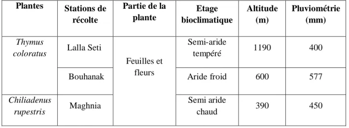 Tableau 4 : Les stations géographiques de récolte des plantes aromatiques situations géographiques  et leurs  étages bioclimatiques  [75]