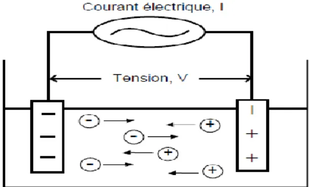 Fig 3: Migration des ions en solution 