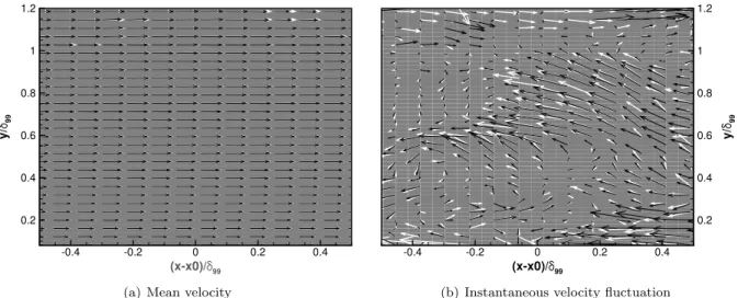 Figure 3. Velocity vector fields computed from measurements relying on each of the two independent PIV cameras C1 (white) and C2 (black) in the Dual-PIV system with δτ = 0