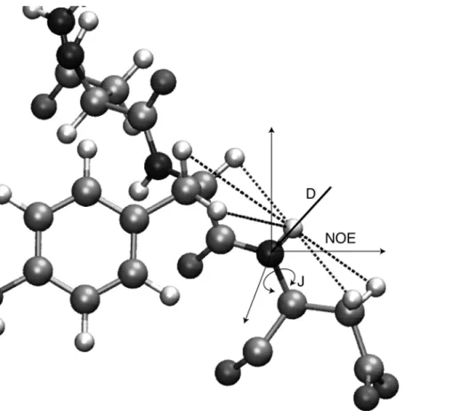 Figure 1. Illustration of structural data that can be obtained from NMR experiments, with the example of a backbone NH group.