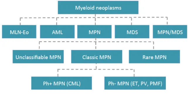 Figure 2. 2008 WHO classification of myeloid neoplasm Myeloid neoplasms are classified into five broad categories: 1-  Myeloid  and  lymphoid  neoplasms  with  eosinophilia  and  abnormalities  of  PDGFRA,  PDGFRB  and  FGFR1  (MLN-Eo),  2-  acute  myeloid