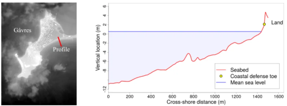 Figure 1: Illustration of the cross-shore transect considered in the RISCOPE application.