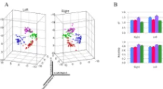 Figure 3. Overlap of tractographic segmentation-based nuclei between subjects