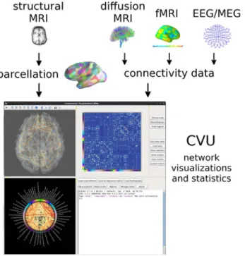Figure 1. Basic workflow to create visualizations in CVU. The cortical surface is parcellated into ROIs, while connectivity matrices can be constructed from a variety of imaging modalities