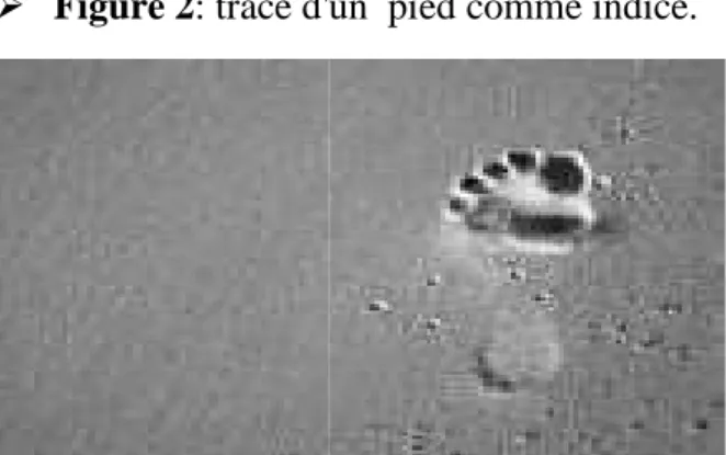 Figure 2: trace d'un  pied comme indice.