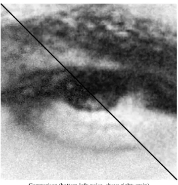 Figure 11: Comparison of our film grain synthesis with signal dependent noise. We show two closeups of images with our film grain synthesis approach vs