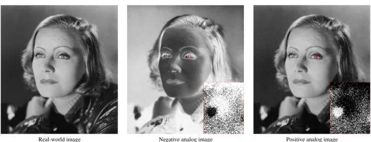 Figure 3: An illustration of the different steps of the photographic process. The signal from the real-world image is recorded on the film negative with dark film grains on a light background