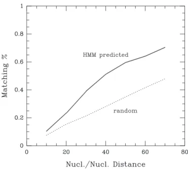 Figure 3. Performances of the HMM method for nucleosome position prediction. Cumulative distribution of the distances between centres of experimentally determined nucleosomes and nucleosomes predicted by our HMM approach (plain line) compared with random e