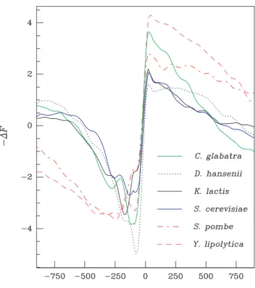 Figure 5. Predicted promoter nucleosome occupancy proﬁles of diﬀerent yeast species. F proﬁles calculated for all annotated genes (ORFs) of the indicated yeast genomes
