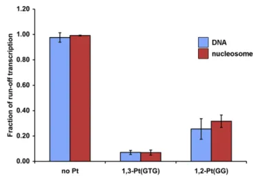 Figure 5. Quantitation of Transcription Inhibition by T7 RNA Poly- Poly-merase from Site-Specific 1,3- cis -{Pt(NH 3 ) 2 } 2+ -d(GpTpG) or 1,2- cis  -{Pt(NH 3 ) 2 } 2+ -d(GpG) Cross-Links