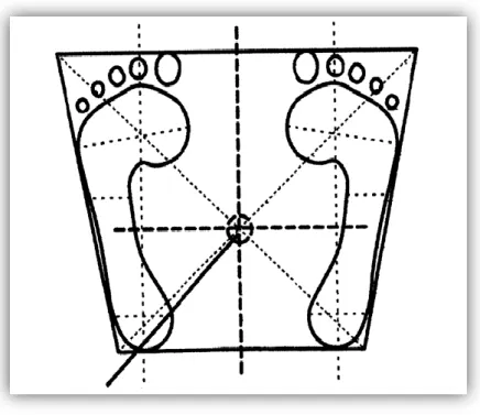 Figure I.13: Polygone de sustentation et la projection du centre de gravité. 