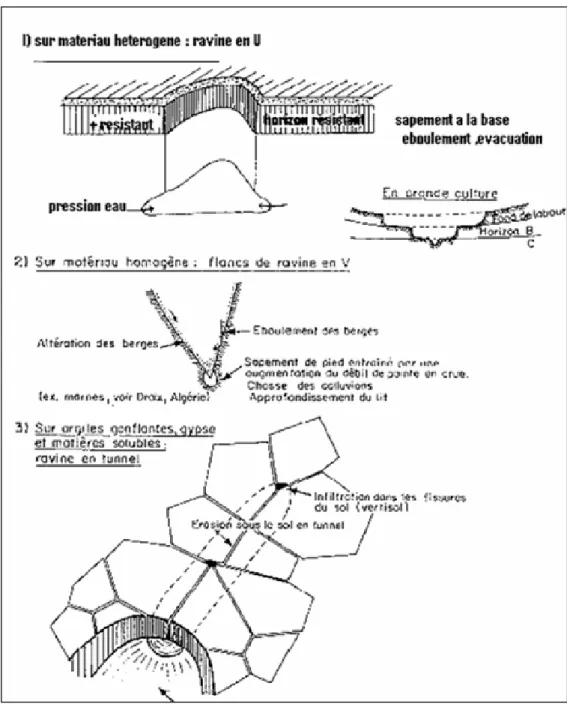 Fig n° 04 Processus de ravinement en relation avec leur typologie (Roose, 2000) 