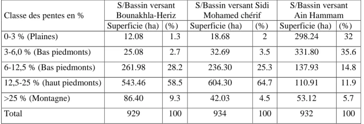 Tableau  n°05  Représente  les  différentes  classes  des  pentes  selon  leur  pourcentage     dans les Bassins considérés: 