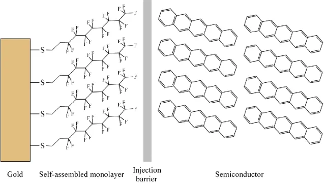 Figure  2.10:  Cartoon  illustrating  a  metal-semiconductor  junction.  Illustration  for  gold  functionalized with a self-assembled monolayer of fluorinated alkanethiols