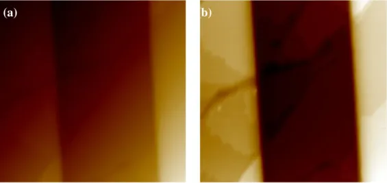 Figure 5.4. Example of a AFM image before and after plane-fitting. (a) Raw AFM measurement,  z-scale:  2µm,  scale:  40  µm