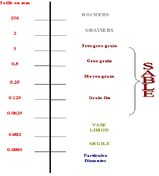 Figure I.1 : Classification des sédiments par la taille selon l'échelle de Wentworth [1]