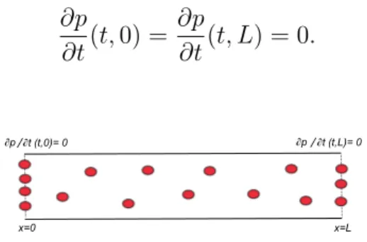 Figure 2.4: Le cas de Dirichlet : l’absence des particules aux bords.