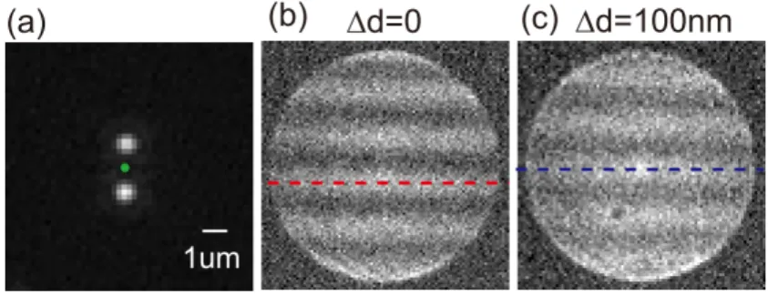 Fig. 5. Complementary experiment performed on a 200 nm thick Au film perforated with two  250 nm-diameter holes