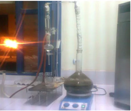 Figure 08 : le montage d’hydro-distillation employé pour l’extraction des huiles essentielles  (photo originale) 