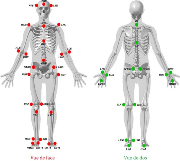 FIGURE  2.5  -  Placement  des  marqueurs  réfléchissants  en  fonction  de  la  position  anatomique de référence selon les recommandations de Wu et al