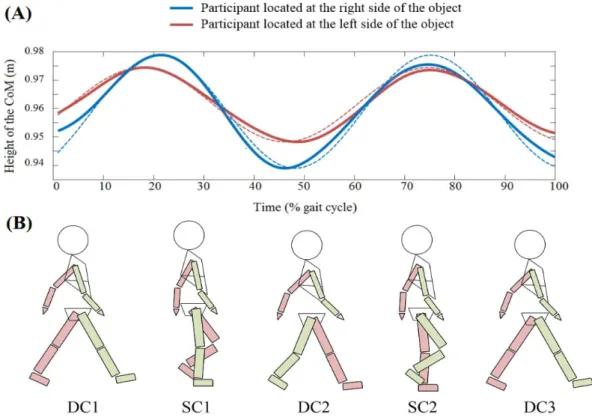 FIGURE 3.2 - (A) Example of the vertical displacement of the CoM over a walking cycle for  a pair of subjects (height: 1.726 m and 1.725 m) carrying a box of 13.41 kg while walking  at a speed of 1.29 m.s -1 