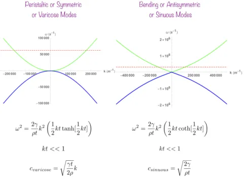 Figure 9. The dispersion relations of hydrodynamic/elastic modes in soap films or thin sheets with the long wavelength limit of the corresponding wave speeds.