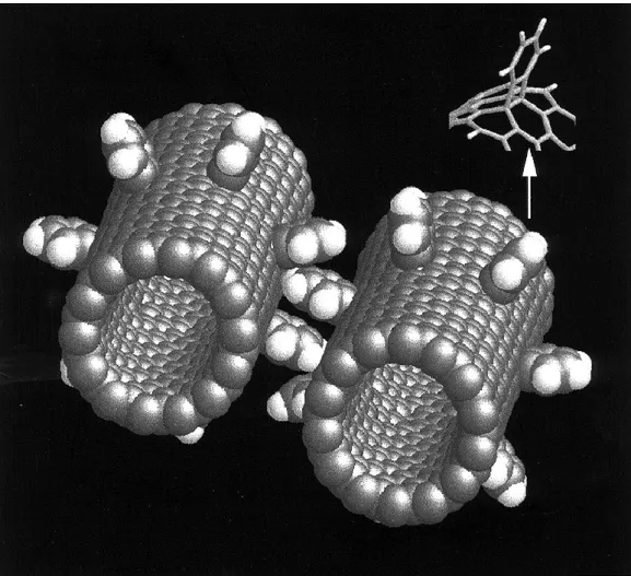 Figure I. 11. Un engrenage à base de nanotubes de carbone avec des dents en benzène [37] 