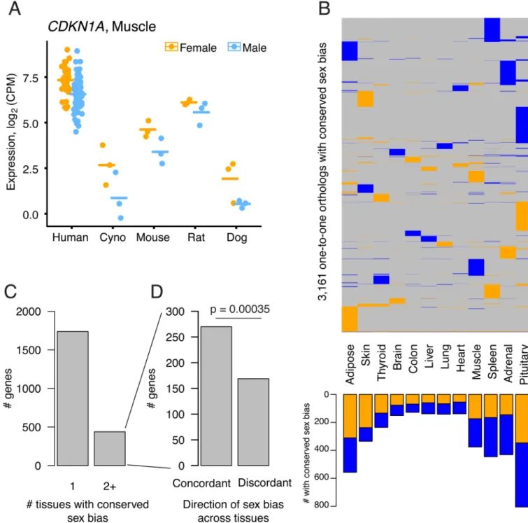 Fig. 2: Conserved sex bias in gene expression across the body.