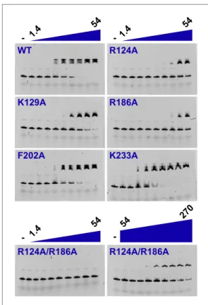 figure supplement 2).