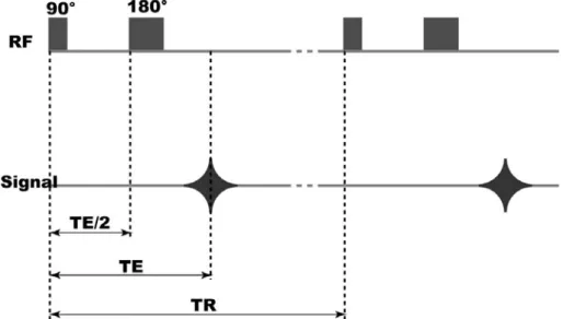 Figure   9.   Diagramme   de   la   séquence   d'écho   de   spin.   Pour   des   raisons   de   simplification,   seules   les    impulsions   de   radiofréquence   (RF)   et   le   signal   recueilli   sont   représentés