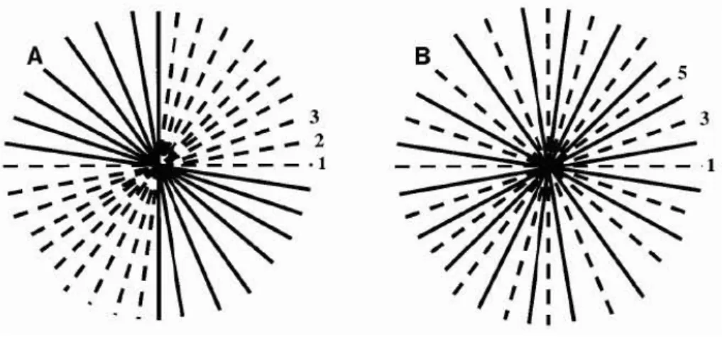 Figure    11.    Exemples    de    trajectoires    radiales    de    remplissage    de    l'espace    k,    continue    (A)    ou    entrelacée    (B),    avec    les    lignes    acquises    lors    du    premier    segment    en    pointillés    et    ce