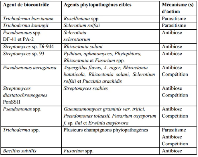 Tableau 1 : Mécanismes d’action de l’agent pathogène(Errakhi, 2008) 